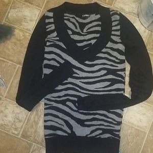 Express Sweater